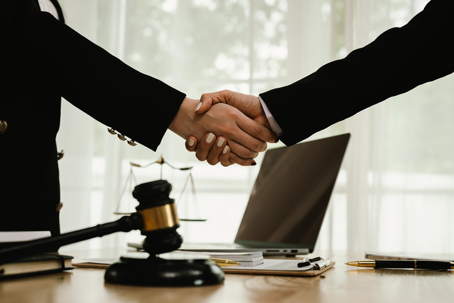 two professionals shaking hands
